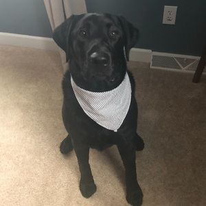 Meet your Posher, Sally